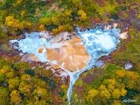 Разноцветный Узон Разноцветный Узон