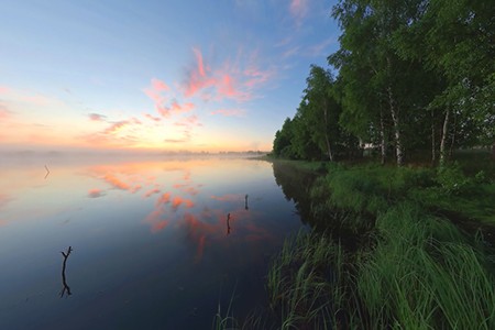 Времена года. Весенний лес. Релакс Времена года. Весенний лес. Релакс