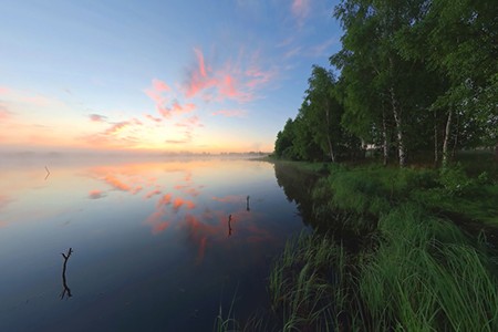 Времена года. Весенний лес. Релакс