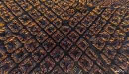 Барселонские ячейки Барселонские ячейки