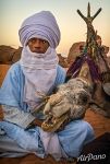 Туарег и верблюд